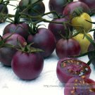 Chocolate Cherry Tomato Plant 100 Seeds Fresh Garden