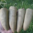 Farmers Jalapeno Pepper Seeds 5 Seeds Amazing Peppers Fresh Garden