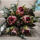 Mixed Rare Protea Cynaroides 50 Seeds Fresh Garden