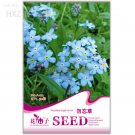 Blue Myosotis Sylvatica Bonsai 50 Seeds Fresh Garden