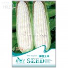 Fruits And Vegetables Silver Glutinous Corn White Waxy Corn Seebv 10 Seeds Fresh Garden