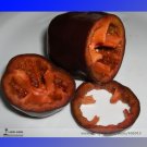 Rare Sweet Chocolate Pepper F1 Seeds 50 Seeds Ripen Early Vegetables Fresh Garden