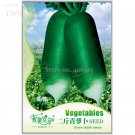 Green Radish Seed Best Plants Vegetable Seeds 60 Seeds Fresh Garden