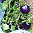 Rare Purple Cherry Tomato Organic Seeds 25 Seeds Fresh Garden