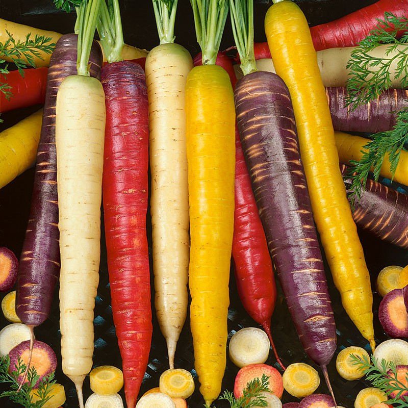 2000 Seeds Mix Carrot Seeds Six Varieties Heirloom Organic Vegetable ...