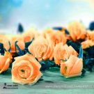 50 Seeds Rare Hybrid Yellow Orange Rose Plant Attracting Bees Strong Fragrant Fresh Garden