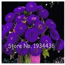100 Pcs Exotic Zinnia Pretty Pastel Mixed Flower Perennial Fresh Garden