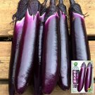 400 Seeds Spring Summer Eggplant Thick Fleshed Purple Red Variety Fresh Garden