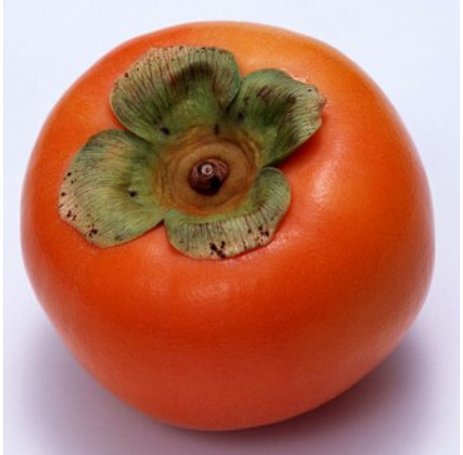 20 Pcs Bag Rare Persimmon Seed Organic Non Gmo Juicy Succulent Fruit Trees Fresh Garden
