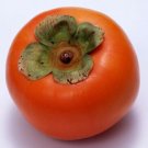 20 Pcs Bag Rare Persimmon Seed Organic Non Gmo Juicy Succulent Fruit Trees Fresh Garden