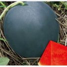 10 Seedless Watermelon Seeds Sweet Juice Very Tasty Easy Growing Tropical Fruit Fresh Garden
