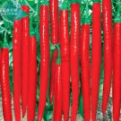 100 Seeds Red Long Chili Hot Pepper Fresh Garden