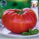 100 Seeds Gigantomo Tomato Fresh Garden