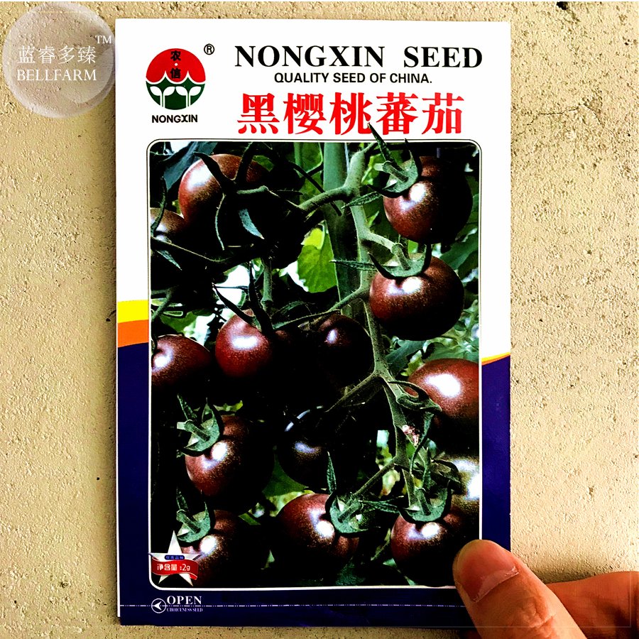 300 Seeds Black Cherry Indeterminate Tomato Organic Fresh Garden