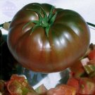 100 Seeds Tomato Giant Vegetable Fruits Type 4 Fresh Garden