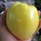 100 Seeds Tomato Giant Vegetable Fruits Type 20 Fresh Garden