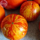 100 Seeds Tomato Giant Vegetable Fruits Type 21 Fresh Garden