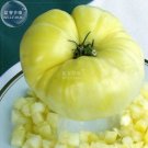 100 Seeds Tomato Giant Vegetable Fruits Type 28 Fresh Garden