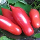 100 Seeds Pink Balloon Tomato Organic Fresh Garden