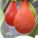 25 Seeds Rare Anhui Middle Red Pear Tomato Organic Sweet Fruit Fresh Garden