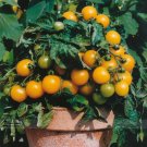 100 Seeds Uk Organic Bright Yellow Round Cherry Tomato Tasty Juicy Sweet Fruit Fresh Garden