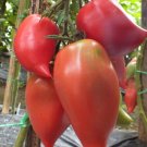 300 Seeds Rare Korean Long Tomato Organic Vegetables Fresh Garden