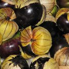100 Seeds Black Royal Little Cherry Tomato Organic They Keep Well After Harvest Fresh Garden