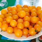 100 Seeds Cherry Tomato Mini Golden Round Fruit Fresh Garden