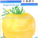 300 Seeds Big Yellow Tomato Peking 156 Organic Rare Vegetable Fresh Garden