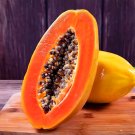 50 Seeds Premium Papaya Organic And Red Fleshed Fresh Garden
