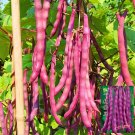 1 Bag 10 G Seeds Purple Pole Bean Fresh Garden