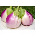 100Pcs Eggplant Heirloom White Purple Lamp Bulb Vegetable Fresh Garden