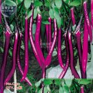 15 Seeds Bright Purple Thin Long Eggplant Vigorous Plants Vegetables Fresh Garden