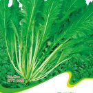 10 Packs Potherb Mustard Seeds Edible Pickled Cabbage Vegetables Fresh Garden