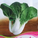 40 Seeds Creamed Black Cabbage Vegetables Organic Fresh Garden