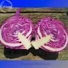 10 Seeds Red Acre Cabbage Organic Edible Vegetables Fresh Garden