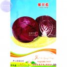 30 Seeds Purple Cabbage Organic Vegetables Salad Round Big Rotkraut Fresh Garden