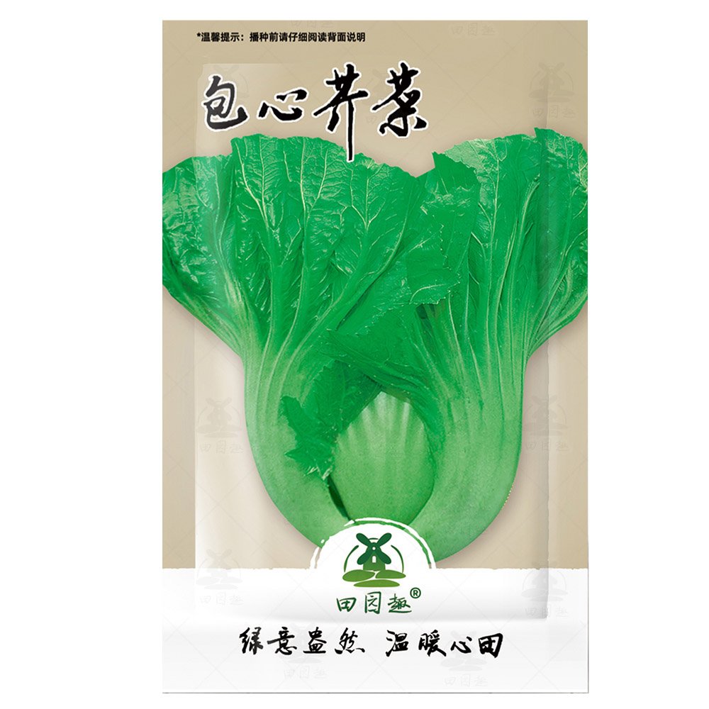 2000Pcs Indian Chinese Cabbage Seeds Heading Mustard Fresh Garden