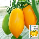 5 Bags 200 Seeds/Bag Of Radiant Gold Yellow Tomatoes Creamy Elegance Fresh Garden