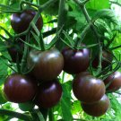 200Pcs Black Pearl Tomato Seeds Black Tomato Cherry Vegetable Fresh Garden