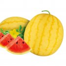 5 Bags 20 Seeds/Bag Of Golden Kylin No.2 Series Golden Skinned Red Fleshed Gift Watermelon Fresh Gar