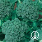 3G Pkg (3X4) Broccoli Seeds Waltham 29 Fresh Garden