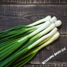 1 Oz Onion Seeds Bunching Tokyo Long White Fresh Garden