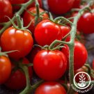 300Mg Pkg (3X4) Tomato Seeds Cherry Large Red Cherry Fresh Garden