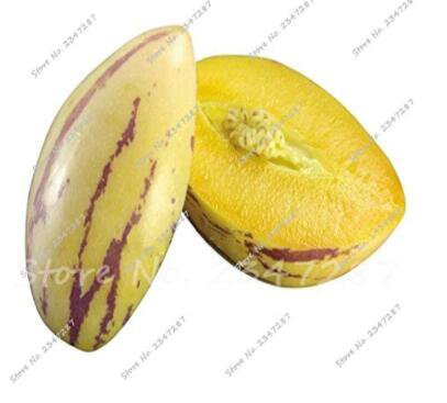 100Pcs Ginseng Fruit Seed Plant Seed Plant Vegetables Ornamental Funny Seed Delicious Fruit Fresh Se
