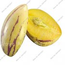 100Pcs Ginseng Fruit Seed Plant Seed Plant Vegetables Ornamental Funny Seed Delicious Fruit Fresh Se