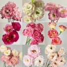 200 Seeds Charming fragrance Mixed Lisianthus Seeds Fresh Seeds