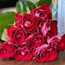 Two-color Rose Ballet on Ice Seeds 50 Seeds Fresh Seeds