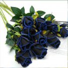 Hooked Edge Black rose Seeds 100 Seeds Blue Fresh Seeds
