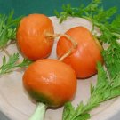 400 Seeds Carrot Paris Market Baron Fresh Seeds